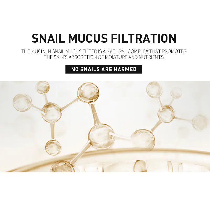 Snail Secret Moisture Boost Toner - Global Edition